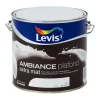 Clearance Ambiance plafond blanc 2,5 l Peinture Mur Et Plafond