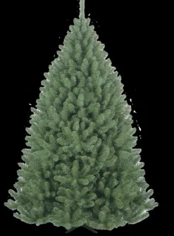 New Arbe Noël Belleridge 180cm Sapins De Noël