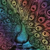 Hot Artfoil Rainbow Peacock Matériel De Peinture