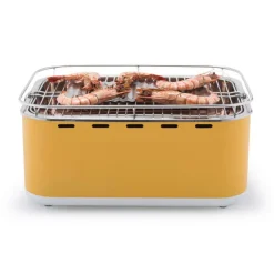 Outlet Barbecue de table Carlo + sac de transport Easy Dining|Barbecues