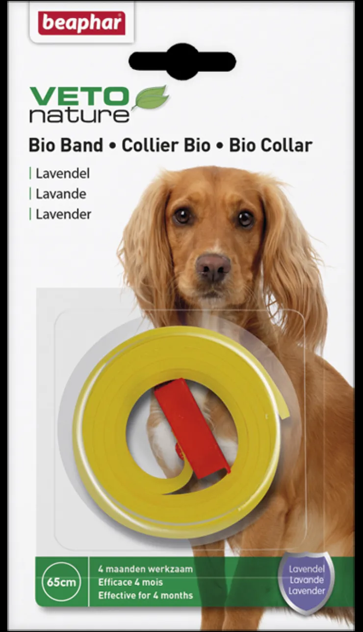 New Bio Collier chien lavande Soins