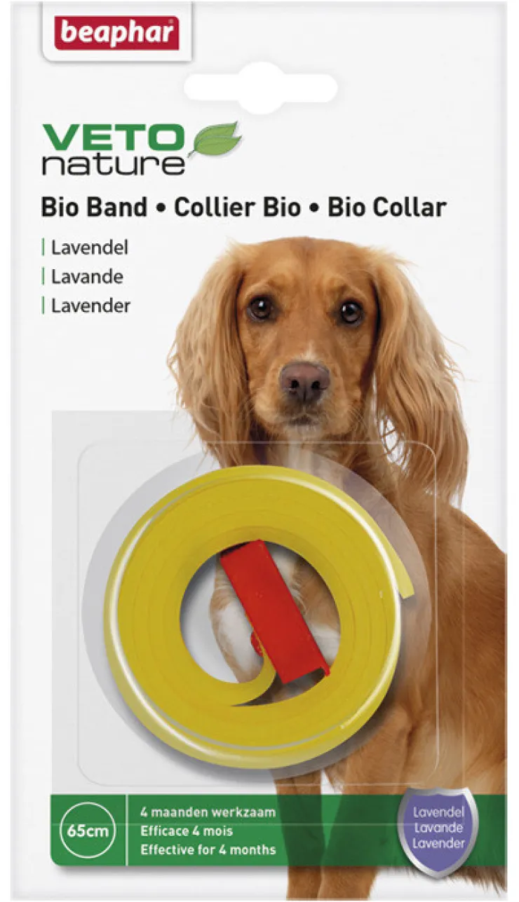 New Bio Collier chien lavande Soins