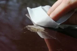 Clearance Bird dropping wipes Nettoyage Extérieur
