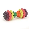 Outlet Caoutchouc haltère dental care Jouets