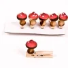 New Champignon sur pince Dragées