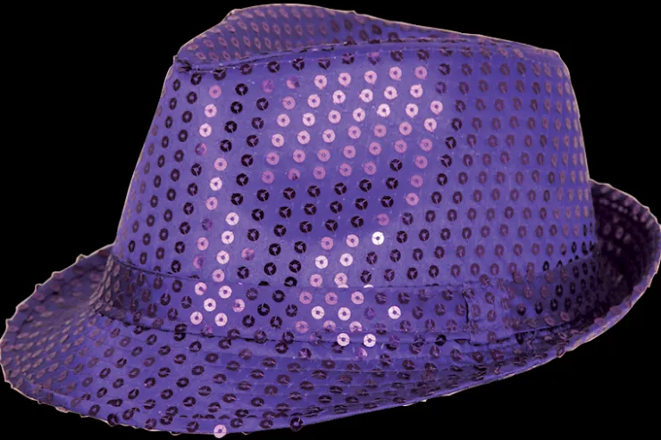 Discount Chapeau de fête, mauve Chapeaux Et Perruques|Accessoires De Fête