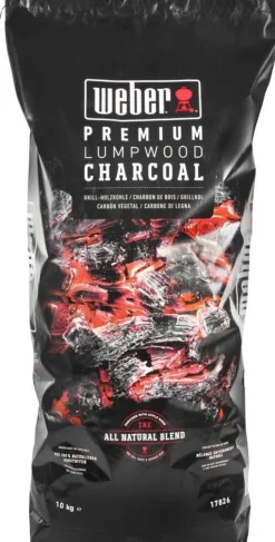 Clearance Charbon de bois 10 kg Charbon De Bois Et Briquettes|Barbecue