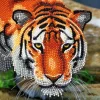 Online Crystal cart tigre 18x18cm Artisanat