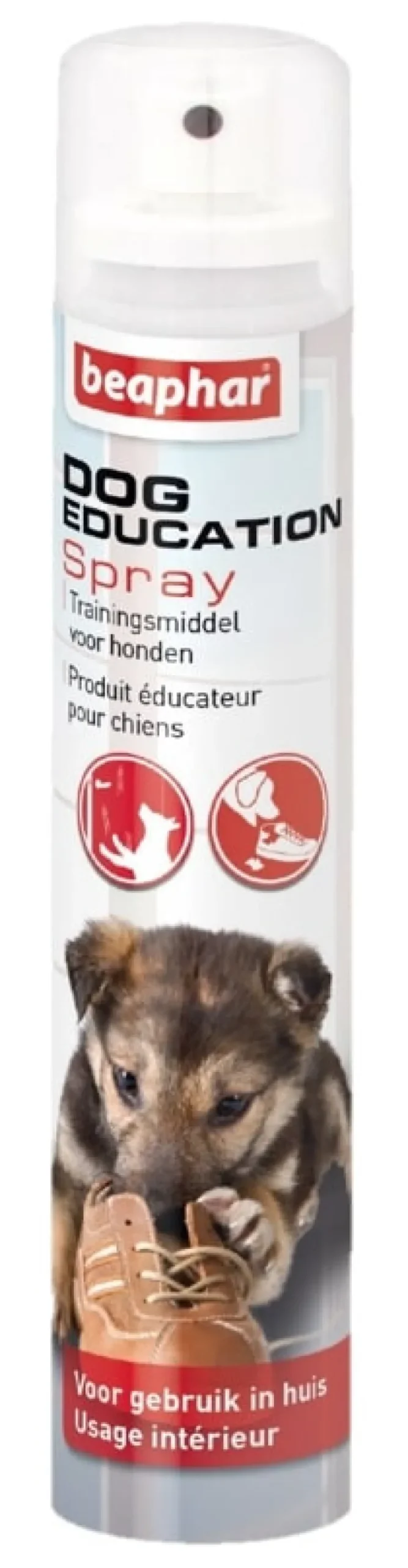 Hot Dog Education Spray 125 ml Soins