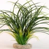 Online Fan grass 30 cm Décoration D'aquariums