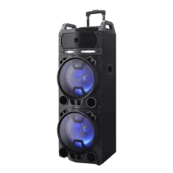 Best Haut-parleur sur chariot avec 2x microphone sans fil 800W Audio