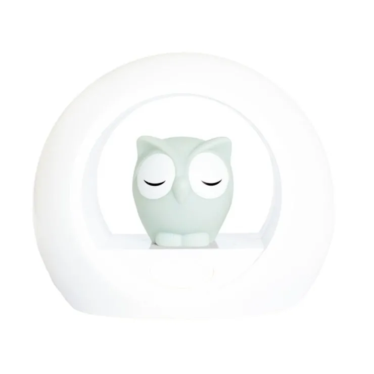 Online Lampe de nuit hibou gris Veilleuses Et Horloges