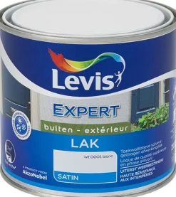Clearance Laque expert satin 0001 0,5 L Laques|Laque
