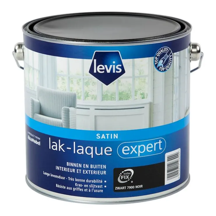 Outlet Laque expert satin 2,5 l Laques