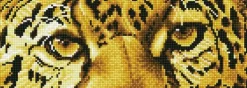 Online Leopard Spy Diamond Artisanat