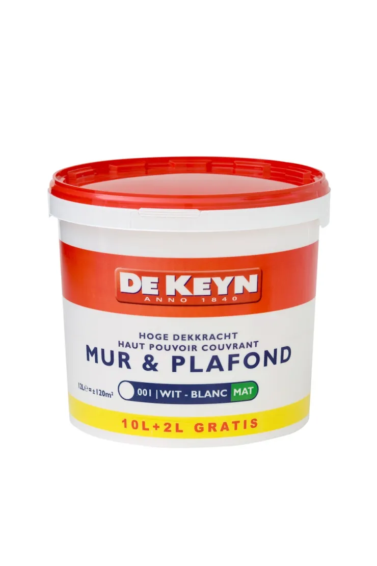 Sale Mur & plafond mat blanc promo 12 L Peinture Mur Et Plafond|Peinture Pour Plafond Et Murale