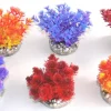 Best Nano bush colored 9 cm Décoration D'aquariums