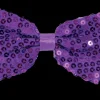 Noeud paillette, purple Accessoires