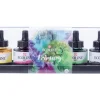 Discount Peinture à l'eau Ecoline 5x30 ml Peinture
