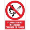 Clearance Pictogramme flammes nues 23 x 33 cm Signalisation