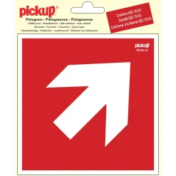 Online Pictogramme flèche 45° 15 x 15 cm Signalisation