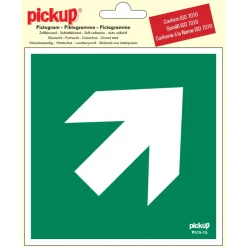 Online Pictogramme flèche 45° 15 x 15 cm Signalisation