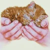 Precious Kitten Diamond Artisanat