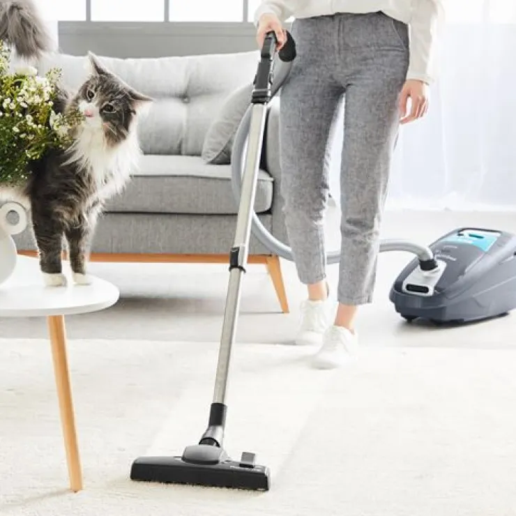 Outlet Aspirateur Silence Force Allergy RO7746EA - Avec Sac Aspirateurs Et Aspirateurs À Main