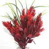 Ruscus L 25 cm Décoration D'aquariums