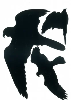 New Silhouettes oiseaux noir 19 x 27 cm Signalisation