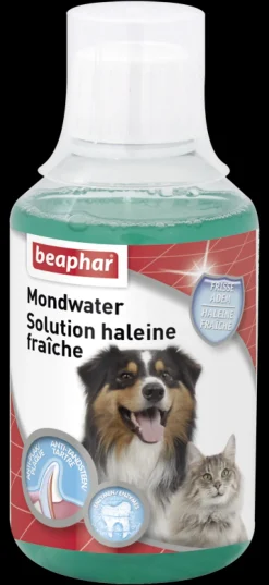 Clearance Solution Haleine Fraîche 250 ml Soins|Soins