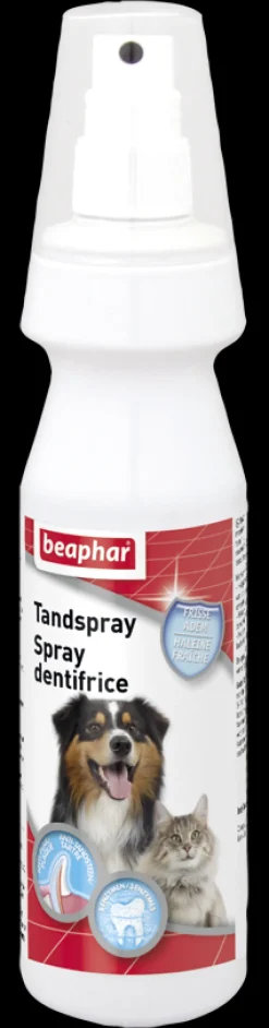 Sale Spray Dentifrice 150 ml Soins|Soins